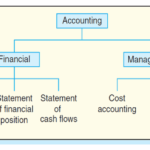 accounting and financial management