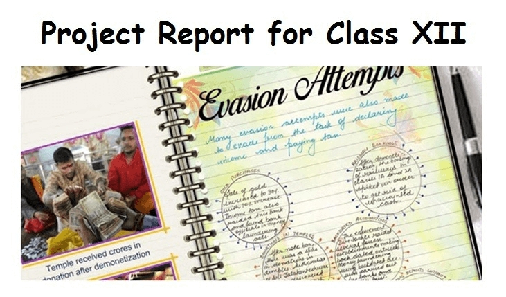 class 12 project report