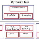 family tree