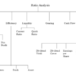 financial ratios analysis