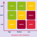 GE-McKinsey Matrix / Directional Policy Matrix