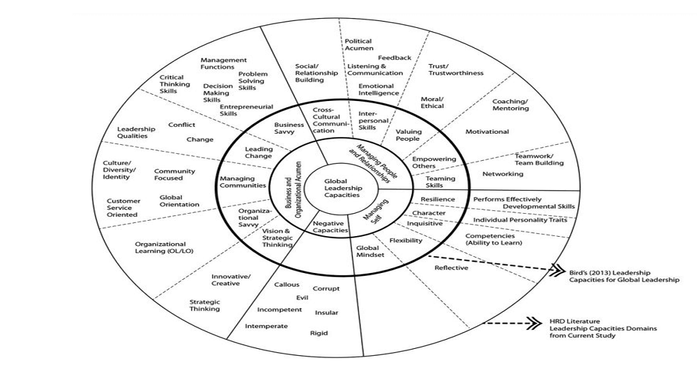 Global Leadership capacity wheel