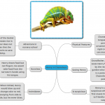 henry chameleon notes