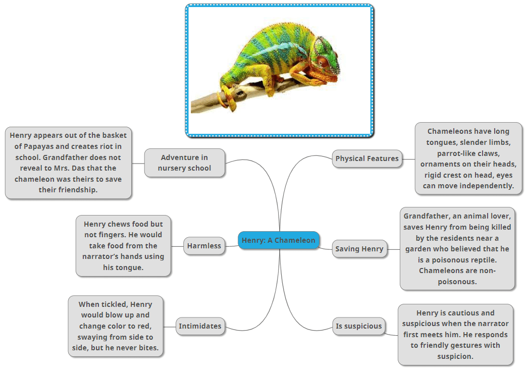 henry chameleon notes