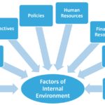 internal environment factors