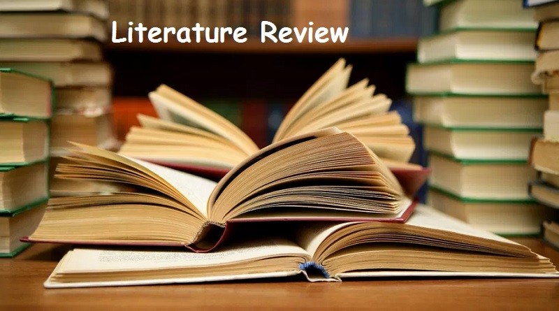 literature review