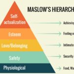 Maslows Need Hierarchy theory