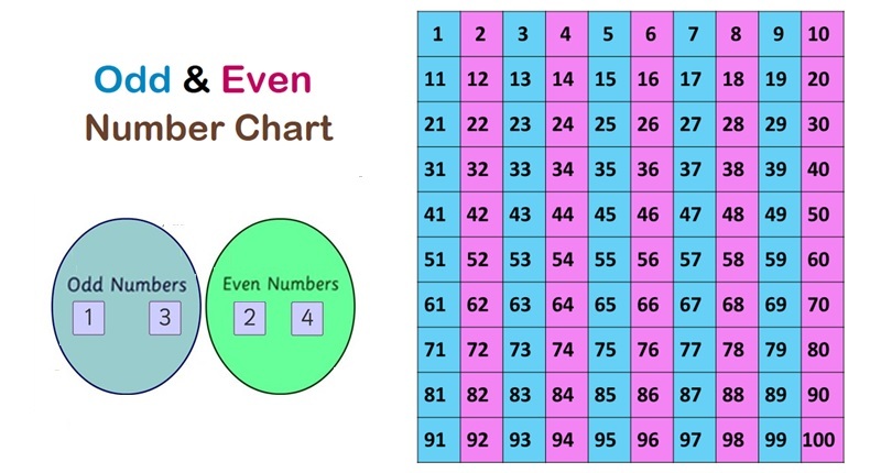 Odd and even numbers for kids