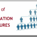 organizational structures
