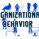 organizational behaviour