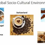socio cultural environment