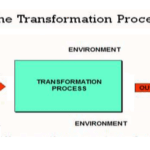 The Transformation Process