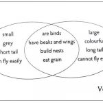 venn daigram for kids