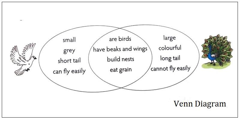 venn daigram for kids